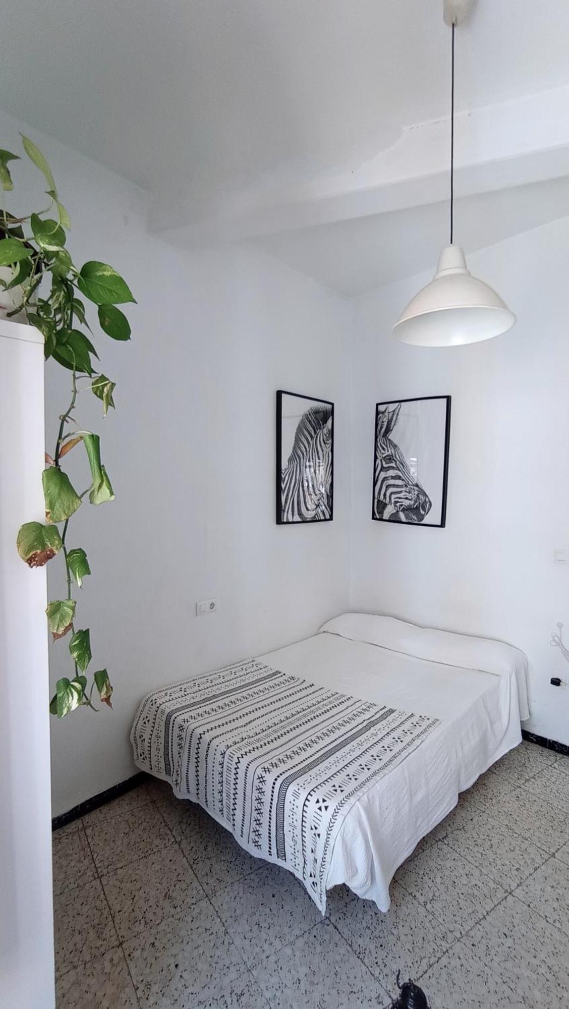 Preciosa Habitacion En Pleno Centro De Sevilla Ideal Para Hacer Turismo Y Vivir La Ciudad Extérieur photo